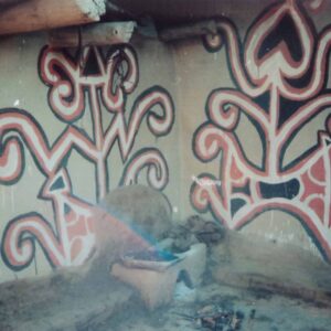 Sohrai painting on wall, Bhelwara, Hazaribagh, Jharkhand. Img 3, 1995